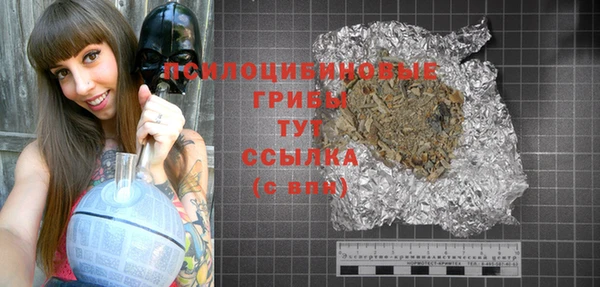 Альфа ПВП Горно-Алтайск
