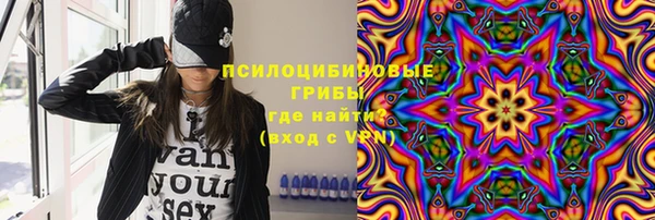 бутират Горнозаводск