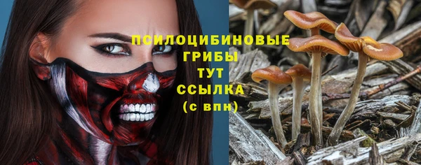 герыч Горняк