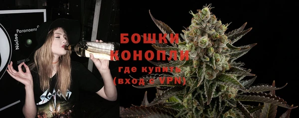 Альфа ПВП Горно-Алтайск