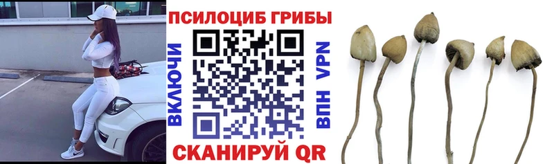 Купить Луза Псилоцибиновые грибы ЛСД